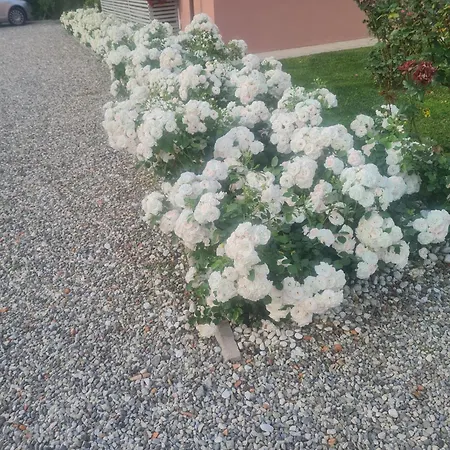Il Buen Retiro Casa de hóspedes